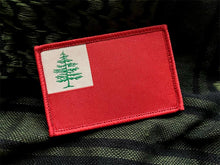 The Continental Flag