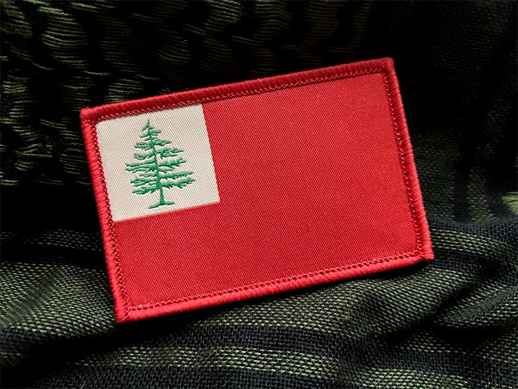 The Continental Flag