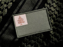 The Continental Flag