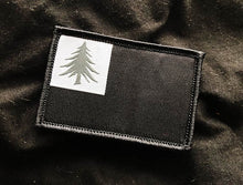 The Continental Flag