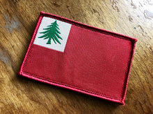 The Continental Flag