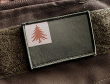 The Continental Flag